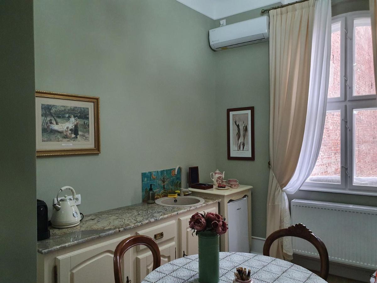 Elisabeth Apartment Oradea Buitenkant foto